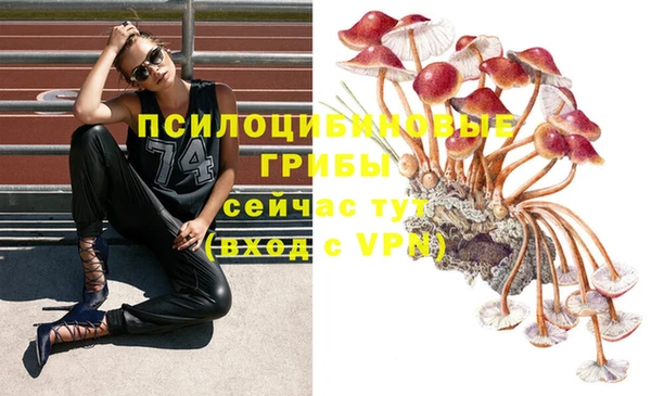 таблы Заволжск