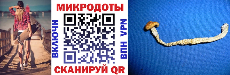 Галлюциногенные грибы мухоморы  Купить  Плавск 